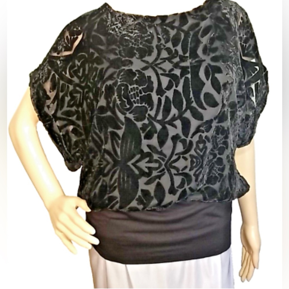 Joseph A. Black Velvet‎ Rounded Floral/Leaf Print Collar Top - Size L